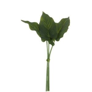 3 okrasné listy Philodendron II - 30cm