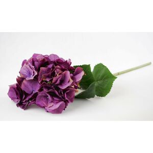 Dekorace fialová hortenzie velkokvětá  - 80 cm Colmore by Diga