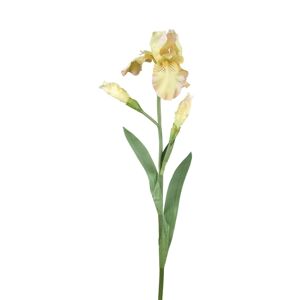 Dekorace umělý žlutý kosatec Iris Pale - 81 cm Ostatní