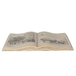 Dekorační obraz otevřená kniha Paris - 48*28 cm
