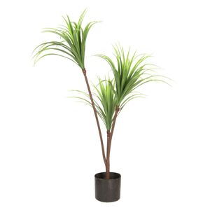 Dekorační pokojová rostlina Dracena - 75 cm Clayre & Eef
