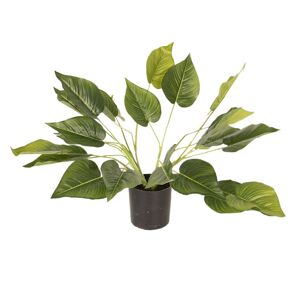 Dekorační pokojová rostlina - 46 cm