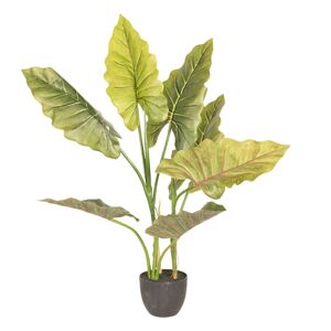 Dekorační pokojová rostlina - 60*53*78 cm
