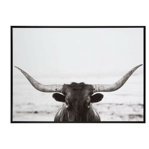 Obraz černo-bílá fotografie Bull - 104*144*4,3 cm