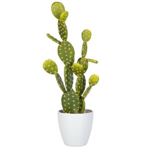 Okrasný kaktus v květináči - 18*14*53cm