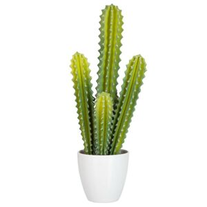 Okrasný kaktus v květináči - 20*15*50cm