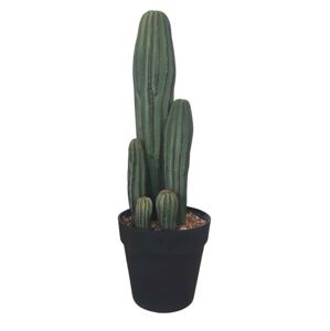 Okrasný kaktus v květináči - Ø15*43cm