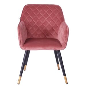 Sametově růžová jídelní židle Davanti - 50*58*86 cm
