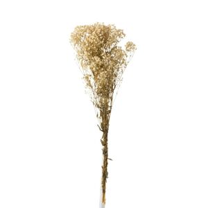 Svazek přírodní sušené trávy Gypsophila - 10*5*84 cm J-Line by Jolipa