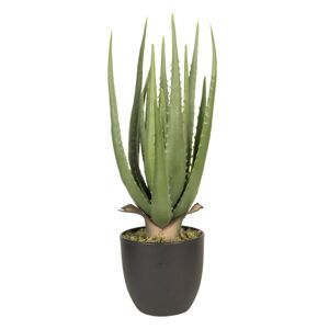 Umělá květina Aloe v květináči - 14*14*46 cm Clayre & Eef