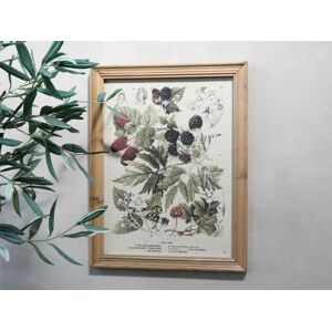 Vintage obraz s motivem lesních plodů v dřevěném rámu - 33*43 cm Chic Antique